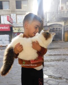 A boy holding a cat